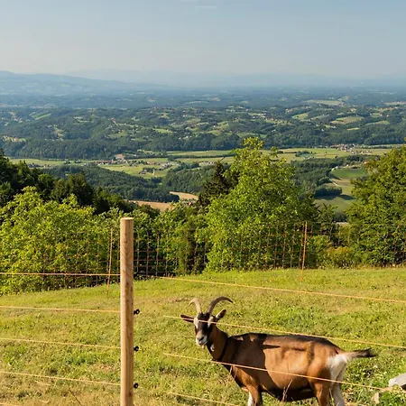 Panorama Schlaffaesser Suedsteiermark - Kastanien- & Heidelbeerhof Klein Isaak