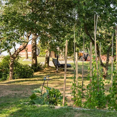 Panorama Schlaffaesser Suedsteiermark - Kastanien- & Heidelbeerhof Klein Isaak * Hardegg