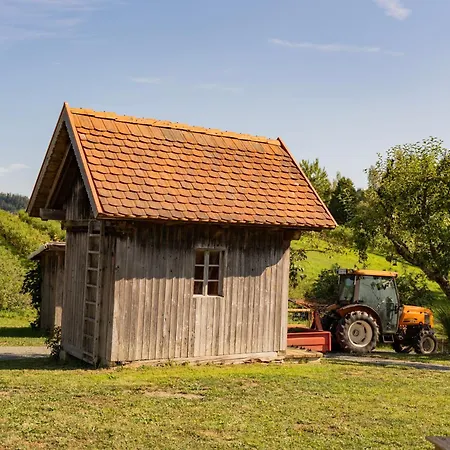 Кемпинг Panorama Schlaffaesser Suedsteiermark - Kastanien- & Heidelbeerhof Klein Isaak *